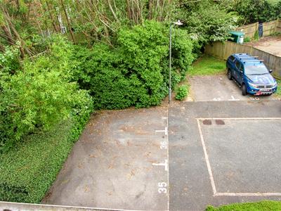 Picture 18